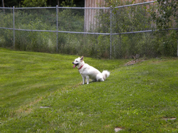 Lucy